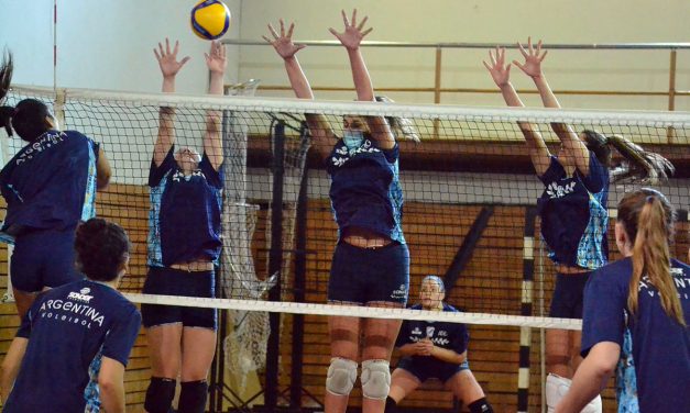 Las Panteras completarán otra semana de trabajo